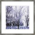 Winter Lace Framed Print