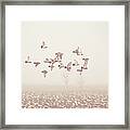 Winter Landscape With Flying Pigeons Framed Print
