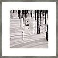 Winter Light In The Forest Framed Print