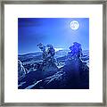 Winter Moon Framed Print