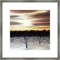 Winter Orchard Framed Print