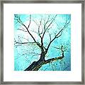 Winter Tree Blue Framed Print