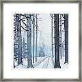 Winter Trees Framed Print