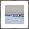 Winter Whites Framed Print