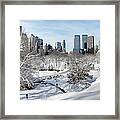Winter Wonderland In Central Park Framed Print