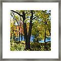 With Trees And Water Framed Print