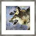 Wolf Storm Framed Print