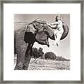 Woman Sitting On Elephants Trunk Framed Print