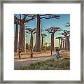 Woman Walking Along The Avenue Of The Framed Print