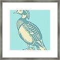 Wood Duck On Blue Background Framed Print