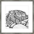 Wood Turtle Framed Print