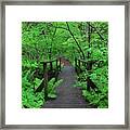 Wooden Foot Bridge Framed Print
