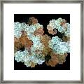 Woolly Sheep Fractal Framed Print