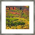 Wyoming Fall Colors 1 Framed Print