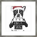 Xmas Is Coming Framed Print