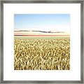 Xxl Wheat Field Twilight Framed Print
