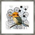 Y Is For Yellow Billed Kingfisher Framed Print