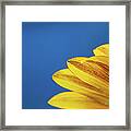Yellow Flower Framed Print