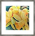 Yellow Splendor Framed Print