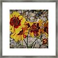 Yellow Wildflowers Framed Print