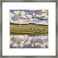 Yellowstone Lake And Bison Framed Print