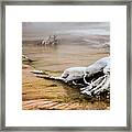 Yellowstone's Mineral Beauty Framed Print
