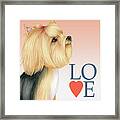 Yorkshire Terrier Love Framed Print