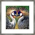 You And Me Framed Print