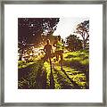 Young Couple Jogging Framed Print