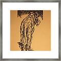 Young Cub Sketch Framed Print