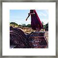 Young Novice Monk Framed Print