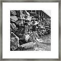 Young Women Standing On Coastline Framed Print