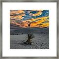 Yucca Sunset Skies At White Sands, New Mexico Framed Print