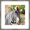 Zebra Rendition I Framed Print