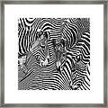 Zebra Stripes Abstract Framed Print