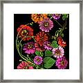 Zinnia & Morning Glory Vines Framed Print