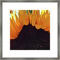 A Bees Eye View #1 Framed Print