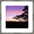 African Sunrise #1 Framed Print
