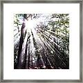 Angelic Ambience Framed Print