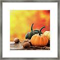 Autumn Crops #1 Framed Print