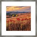 Autumn In The Tallgrass #1 Framed Print