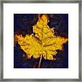Autumn Leaf Framed Print