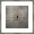 Bird On The Wire #1 Framed Print