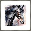 Black Horse Watercolor Painted. #1 Framed Print