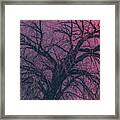 Branching Out #2 Framed Print