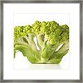 Broccoli #1 Framed Print