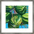 Bunch Of Coconuts   #2 Framed Print