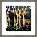 By The Lake #1 Framed Print