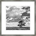 California Spring Meadow #1 Framed Print