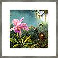 Cattleya Orchid And Three Brazilian Hummingbirds Framed Print